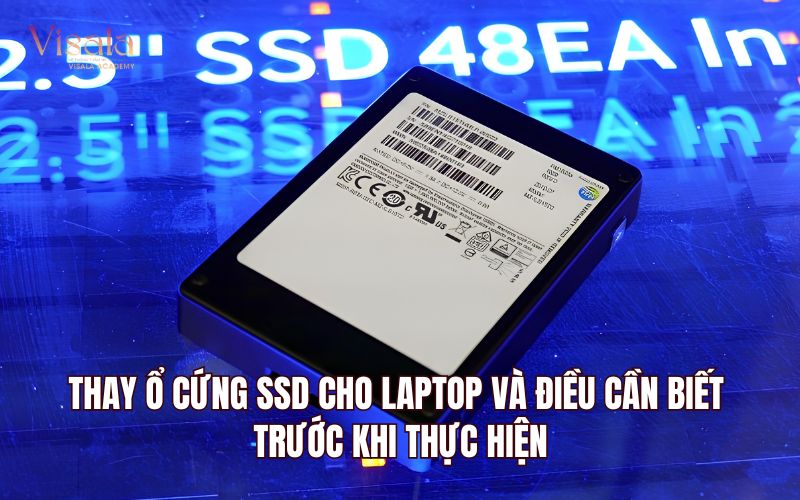 Thay Ổ Cứng SSD Cho Laptop Và Điều Cần Biết Trước Khi Thực Hiện