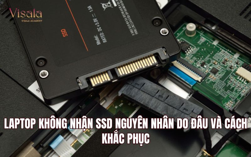Laptop Không Nhận SSD Nguyên Nhân Do Đâu Và Cách Khắc Phục